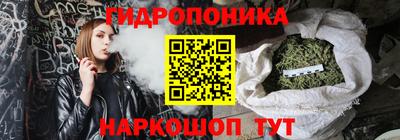 гашик Гатчина