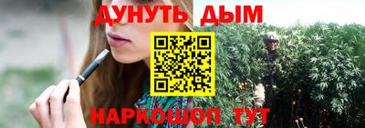 гашик Гатчина