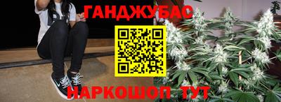 гашик Гатчина