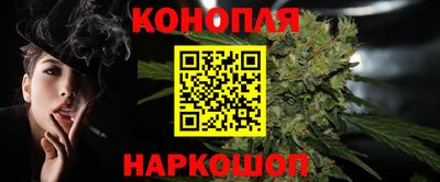 гашик Гатчина