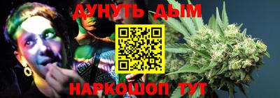 гашик Гатчина